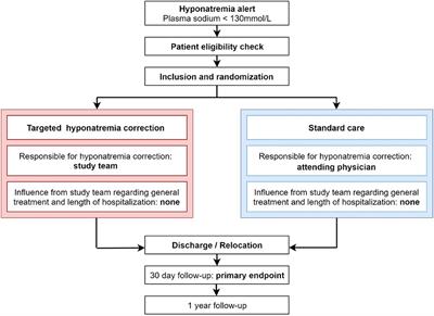 Hyponatremia Intervention Trial (HIT): Study Protocol of a Randomized, Controlled, Parallel-Group Trial With Blinded Outcome Assessment